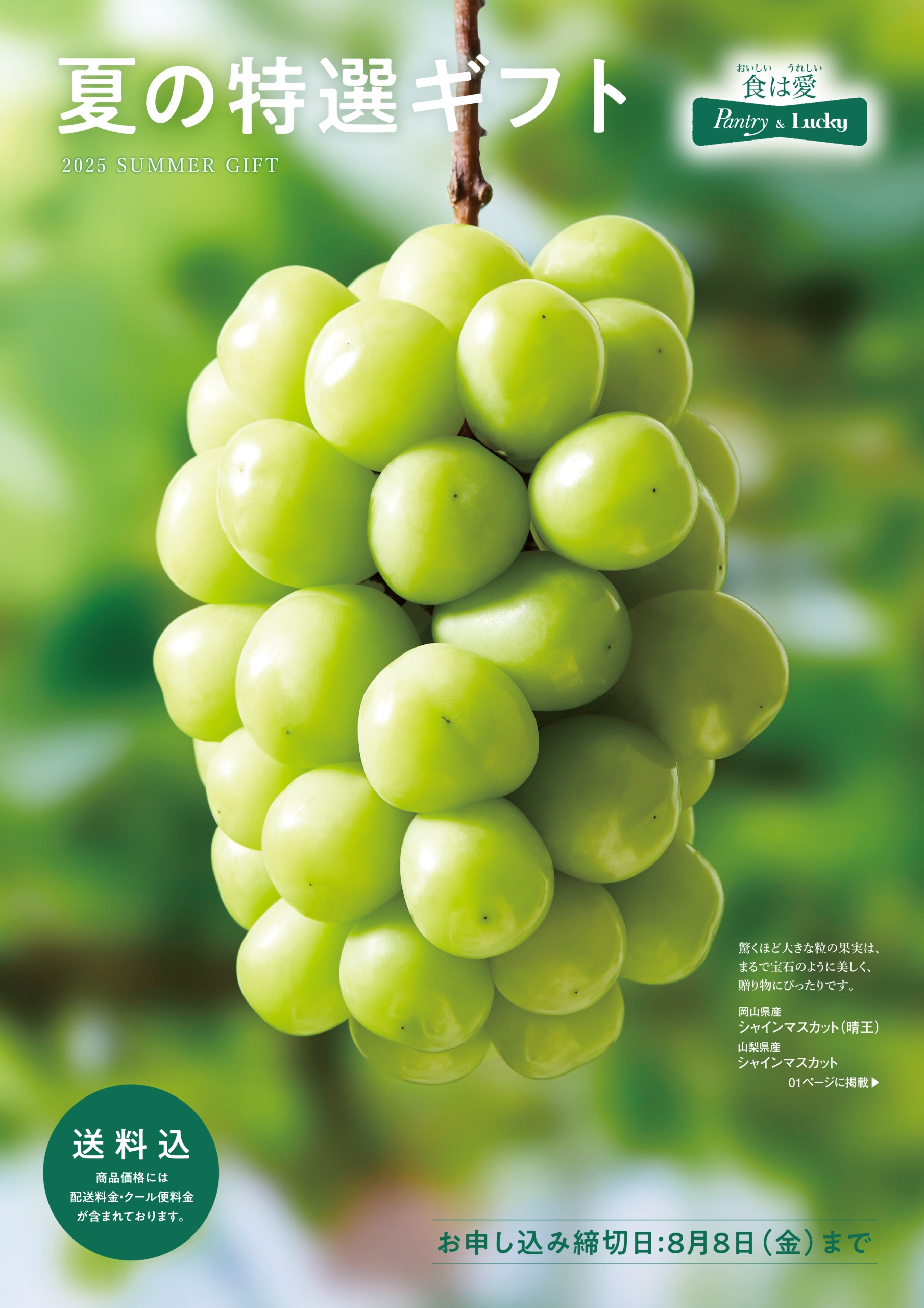 記事のイメージ