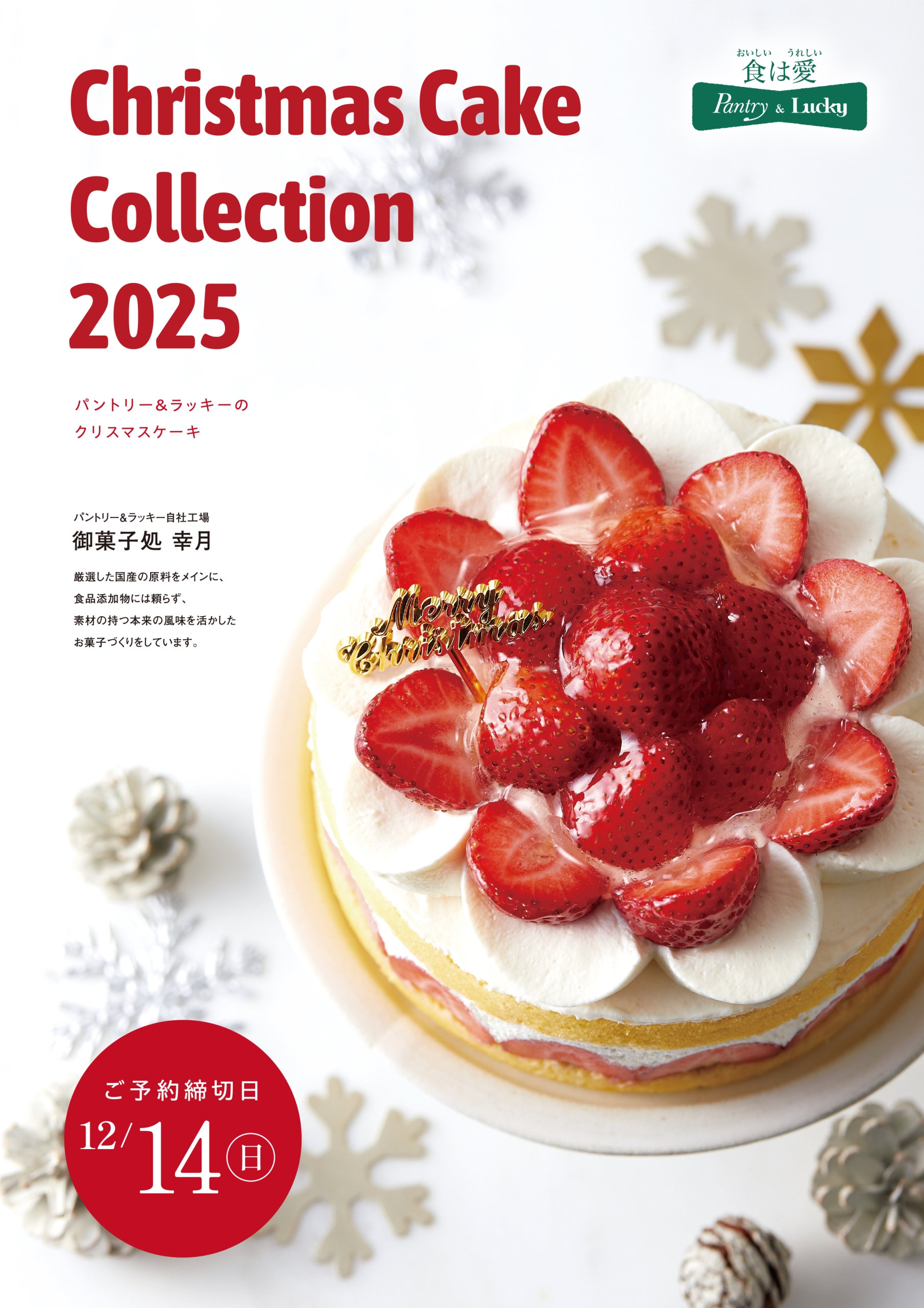 記事のイメージ